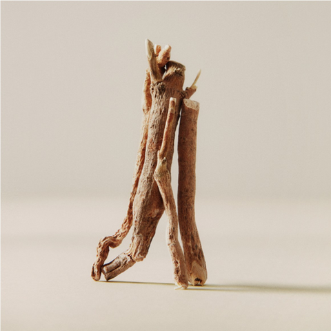 Ashwagandha Cycling 101: All You Need to Know | Moon Juice