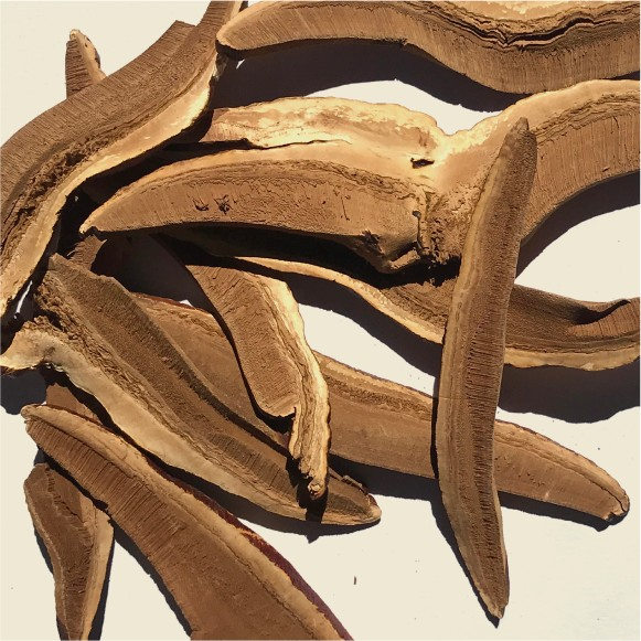How to Use Reishi Mushroom Powder