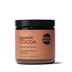 adaptogenic mushroom hot chocolate blend