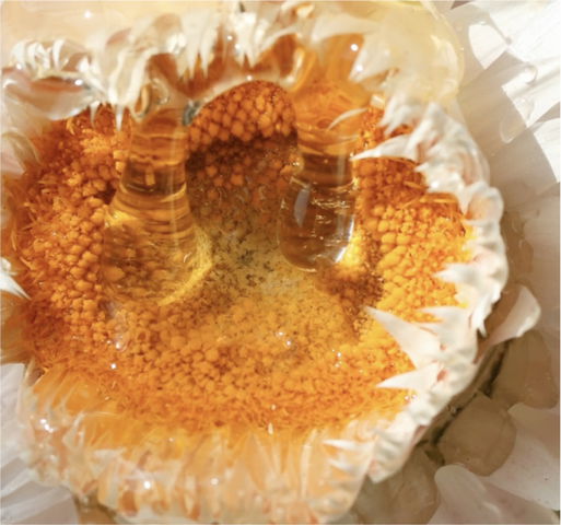 19 Aphrodisiacs That Will Enhance Your Sex Life