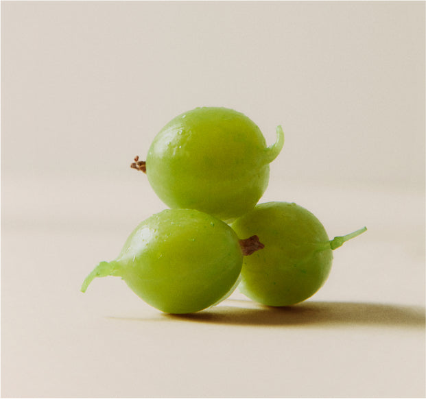 5 Benefits of Amla (Indian Gooseberry) Powder