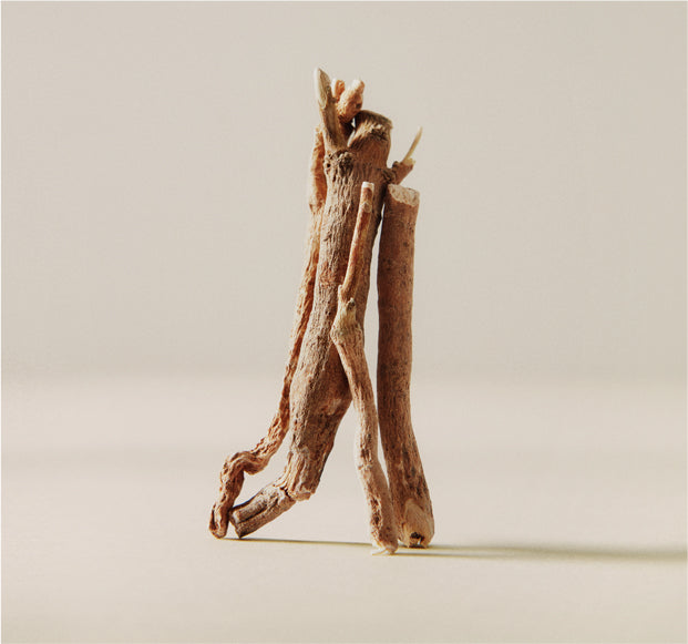 What are the Benefits of Ashwagandha for Women?