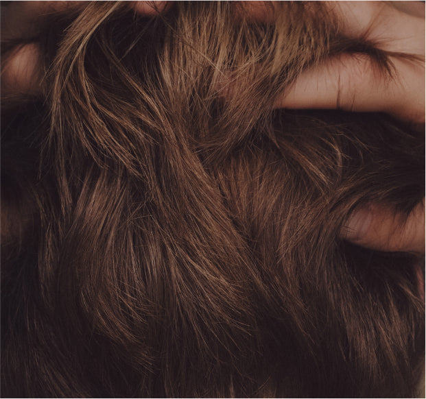 Horsetail Benefits for Hair