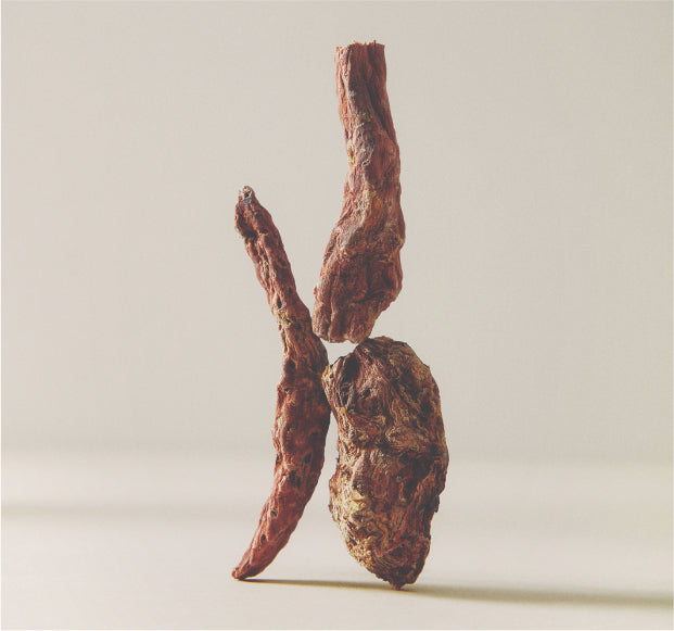 The Best Adaptogens for Stress