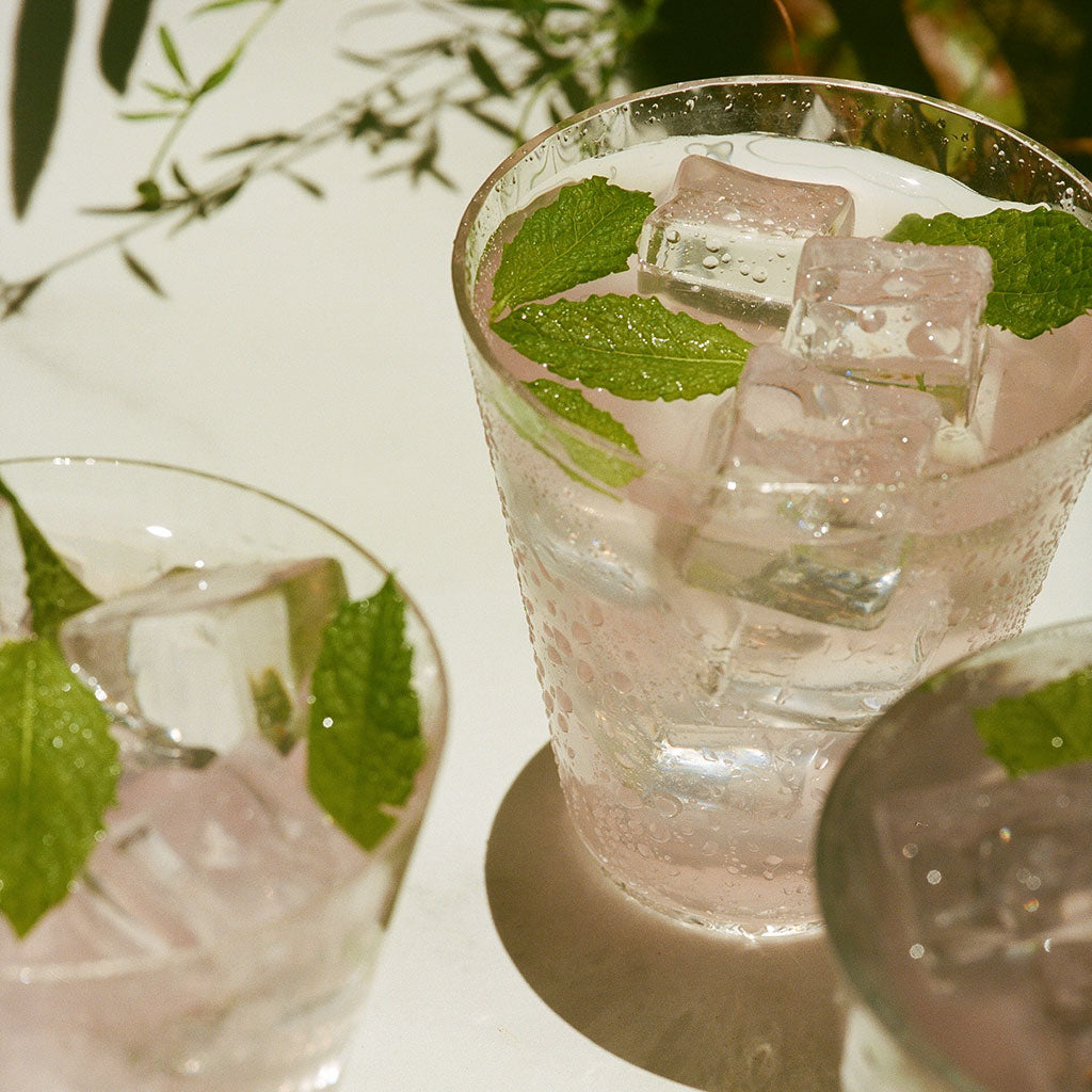 Salty Watermelon Tonic