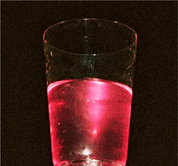 Magnesium Glycinate vs Citrate: What’s the Difference?