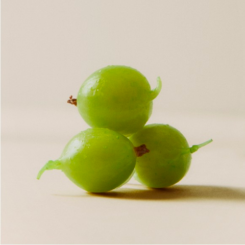 The Power of Amla for Skin
