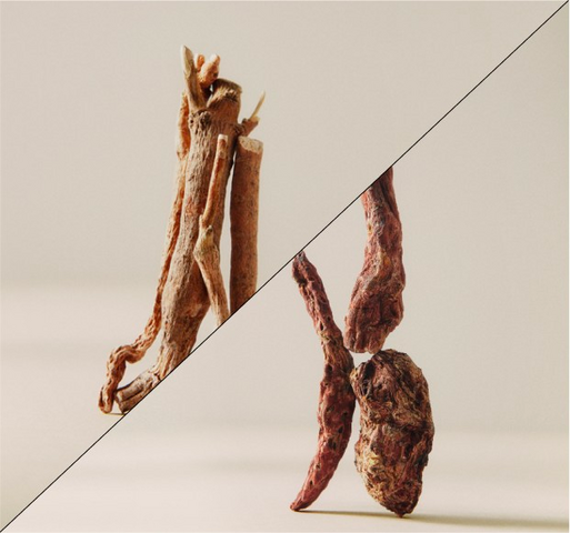 Ashwagandha vs. Rhodiola: What Is the Difference?