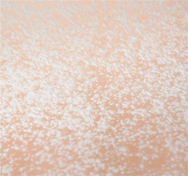 Reishi vs. Chaga: What's the Difference?