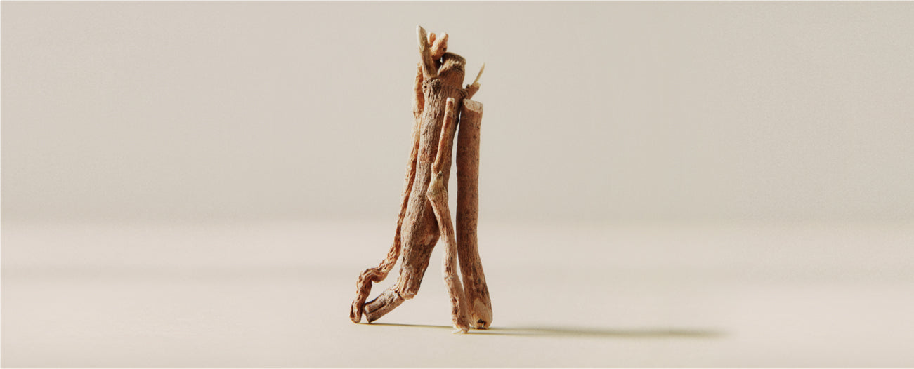 What are the Benefits of Ashwagandha for Women?