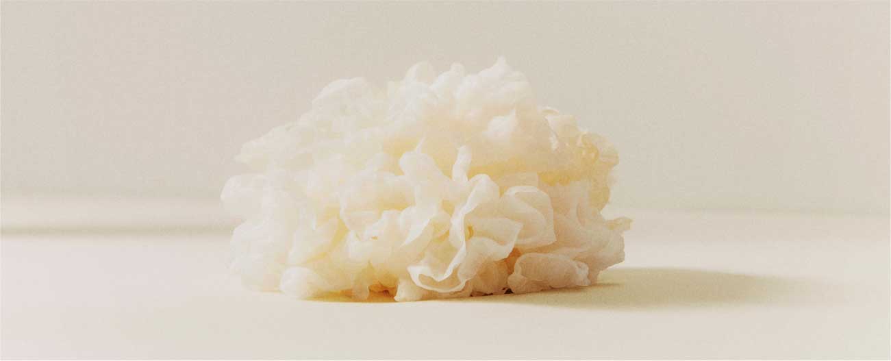 Animal Collagen vs Vegan Collagen