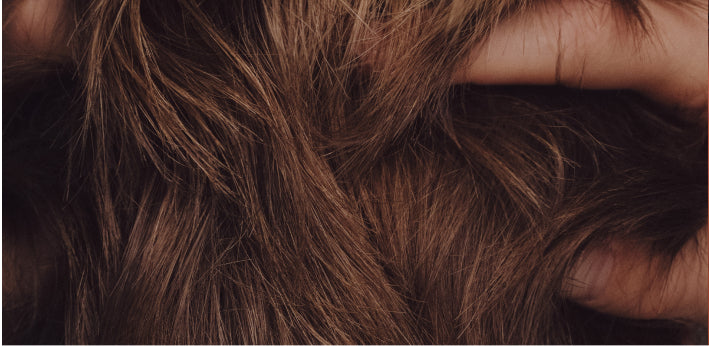 Header Promo