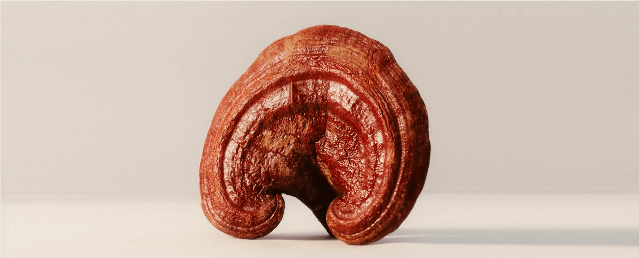 How to Use Reishi Mushroom Powder