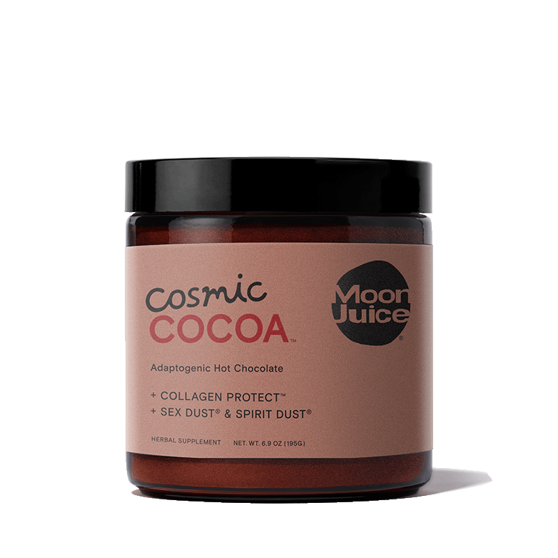 adaptogenic mushroom hot chocolate blend